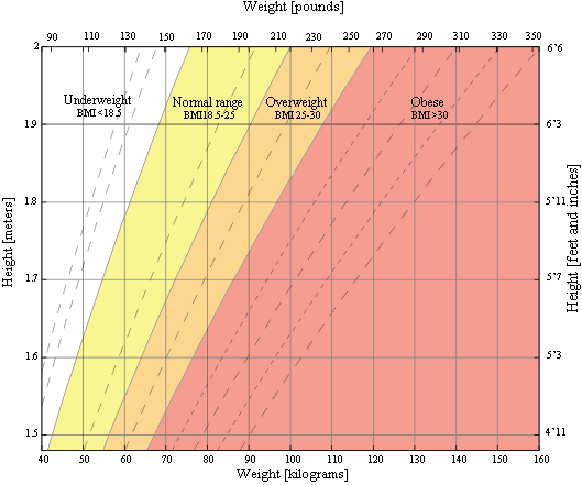 BMI chart for adults