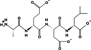 Bronchogen
