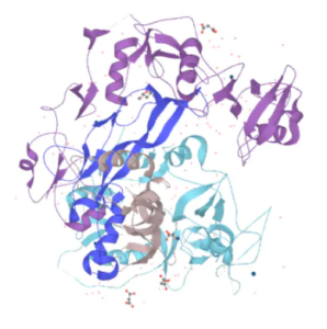 Follistatin-344