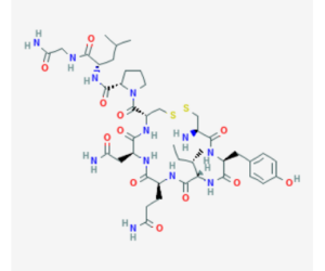 Oxytocin