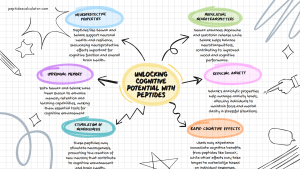 Peptides For Brain & Cognitive Enhancement – What Science Says