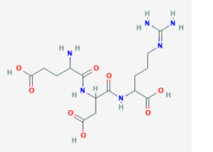 Pinealon (Bioregulator)